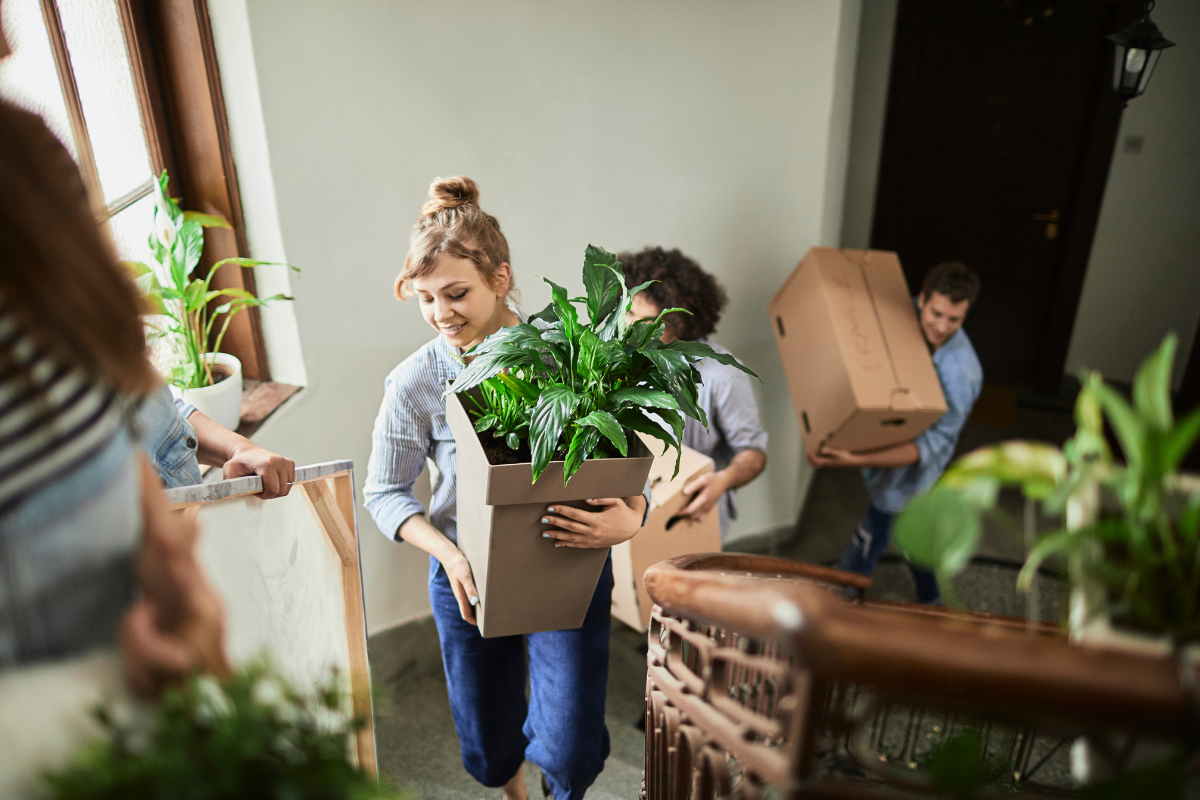 Días libres por mudanza: organiza tus días