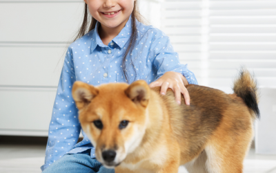 Mudanzas con mascotas: guía completa para un traslado seguro y sin estrés